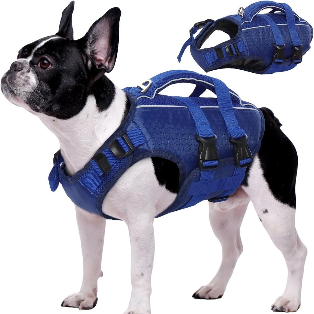 Racocou Reflective Dog Life Jacket, Blue, M