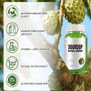 Soursop (Graviola) Liver and Digestive Support, Improves Health, Non-GMO view 2