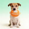 2026 Interactive Latex Squeaky Toy with Fun Face view 4