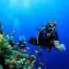 QUXVUIS Neoprene Strap Cover for Diving Masks view 2