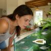 Floating Fish Food Ring with Suction Cup view 2