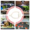 Floating Fish Food Ring with Suction Cup view 4