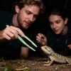 Reptile Feeding Tongs 18 x 3.2 cm, Glow-in-the-Dark Tweezers, Ergonomic Long Feeding Tool, Non-Slip Grip view 3