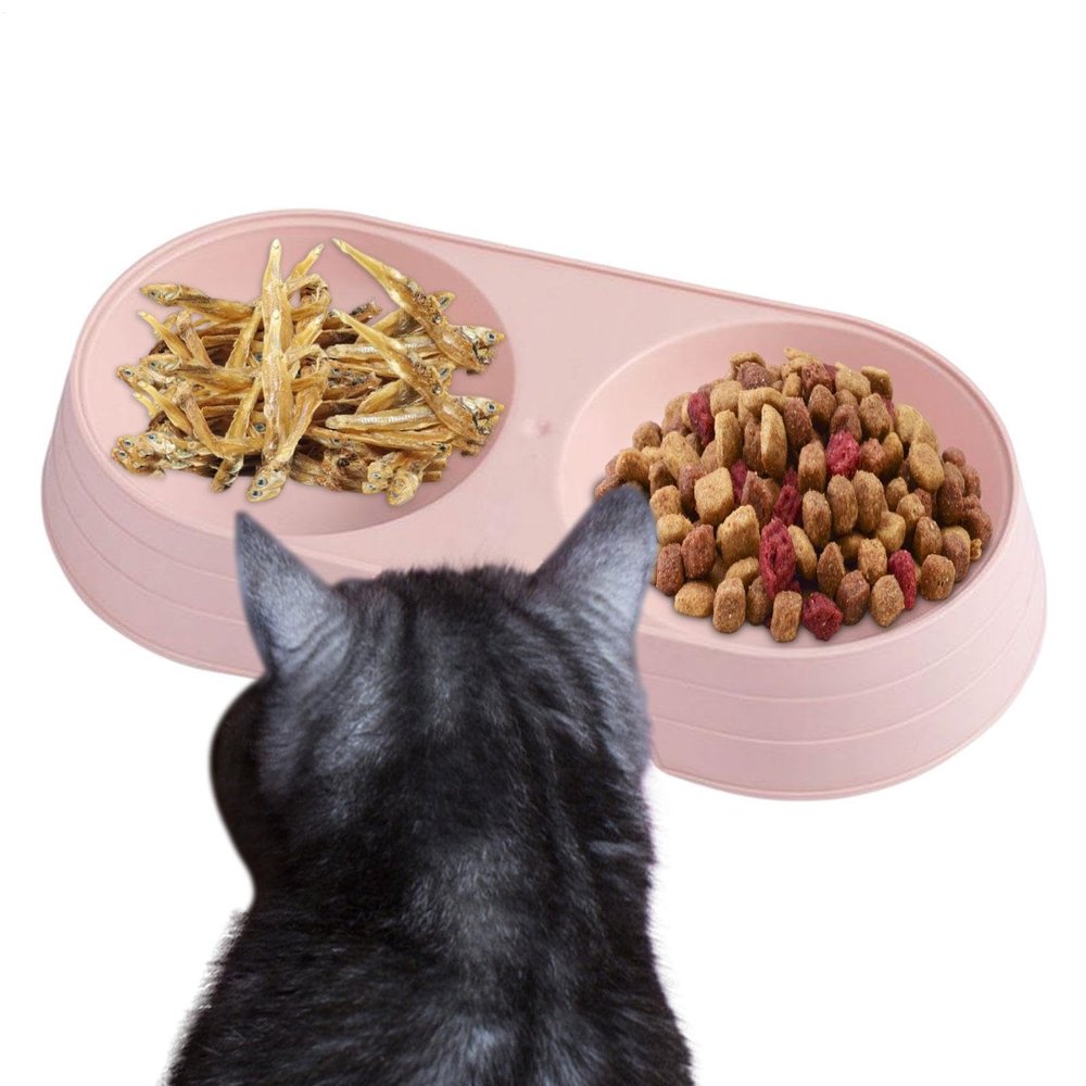 Puppy Bowls | Macaron Raised Double Dog Bowls