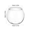 GANAZONO Unbreakable Round PET Fish Bowl for Desk and Office, Creative Aquarium, Decor and Flower Pot view 2