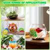 GANAZONO Unbreakable Round PET Fish Bowl for Desk and Office, Creative Aquarium, Decor and Flower Pot view 3