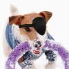 VALICLUD Soft Dog Eye Patch in Black view 3