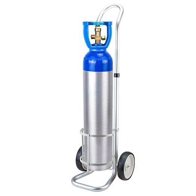 Portable Oxygen Tank Cart for 20 L Cylinders