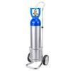 Portable Oxygen Tank Cart for 20 L Cylinders view 1