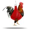 HOMOBABE Removable PU Poultry Carrier and Weighing Bag view 3