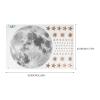 MAJORMENCH Moon and Stars PVC Wall Stickers view 2