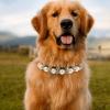 LALAFINA Pet Collar with Bow and Beads view 4