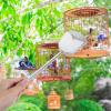 Stainless Steel Poop Scoop for Chicken Coops, Bird Cages, and Reptile Bedding view 4