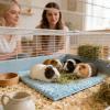 4-Piece Rabbit Hutch Liner, Washable, Reusable, Absorbent view 2