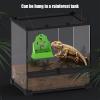 Generic Reptile Feeding Bowl with Escape Prevention view 4