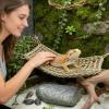Soft Reptile Hammock with Climbing Rope view 2
