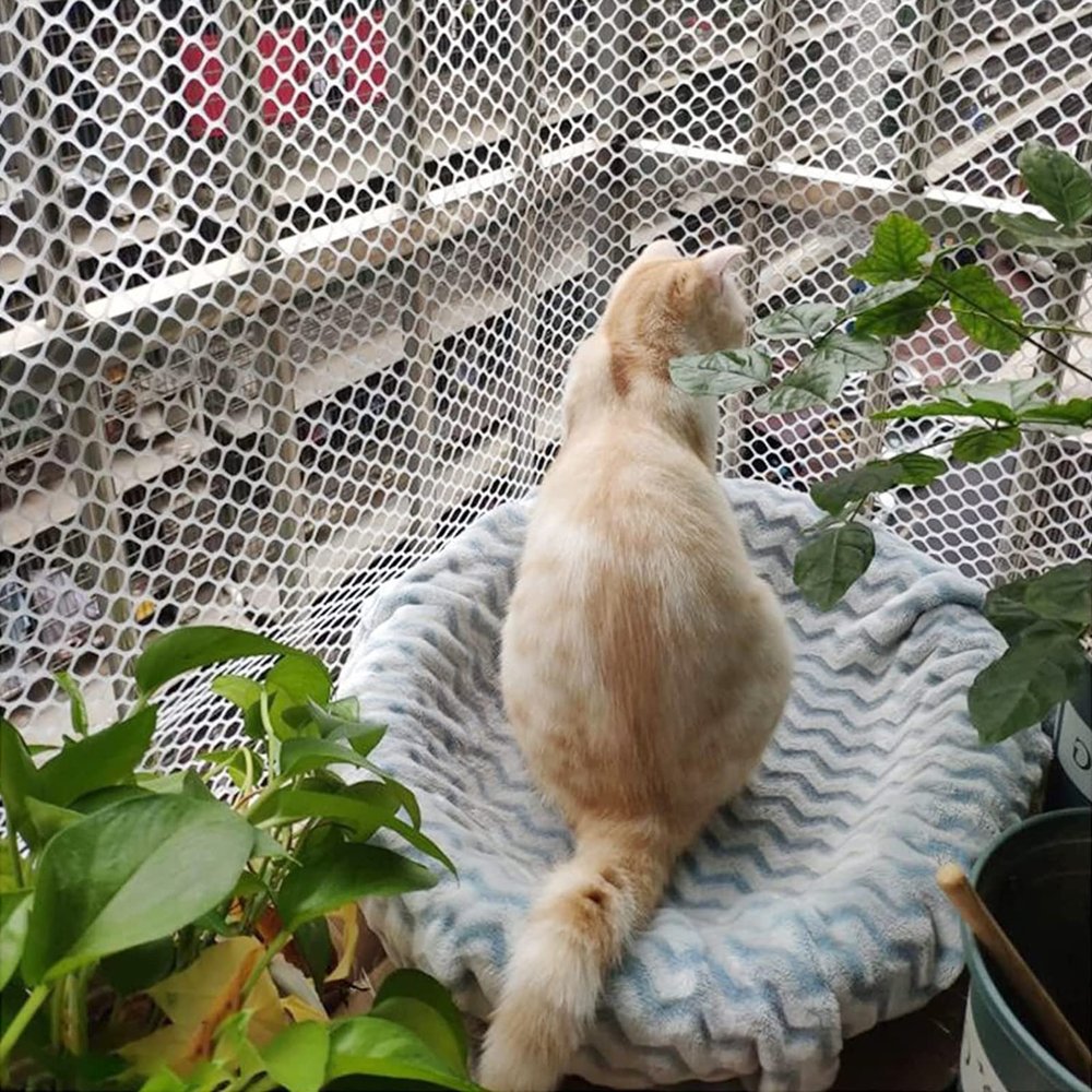 Pet and Child Barrier Net, Anti-Slip and Climbing Plant Support, 1.2 cm Opening