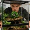 Flexible Artificial Vines for Reptile Terrariums view 3