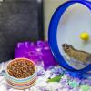 FELTECHELECTR Ceramic Hamster Bowl view 4