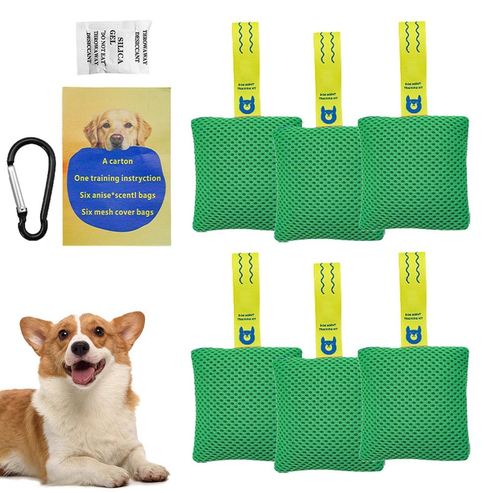 Scent Training for Dogs Enrichment Toy and Pet Supplies