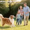 Scent Training for Dogs Enrichment Toy and Pet Supplies view 4