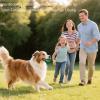 Dog Scent Work Training Kit with Ventilated Lid view 3