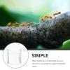 CATIEBYE Ant Water Dispenser view 3