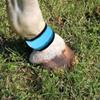 KikoSpark LED Reflective Horse Leg Wraps - 4 Pack view 4