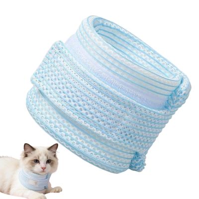 Adjustable Cat Collar with Protective Cone