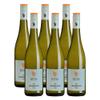 RESS 2025 Rheinhessen Sauvignon Blanc Dry, 6-Bottle Pack view 1