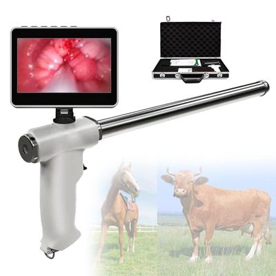 Professional Visual Artificial Insemination Gun Set for Livestock and Dogs, 4.3-Inch Rotating Screen