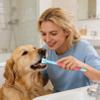 Long-Handle Triple-Head Pet Toothbrush for Dogs and Cats view 3