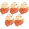 IMIKEYA 40 Empty Snail Shells for Baking view 1