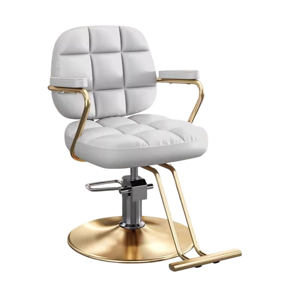 Vttui Hydraulic Swivel Barber Chair with Adjustable Seat, Color E2