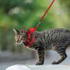 HYTROVE 2-Pack Small Animal Harnesses with Adjustable Leashes, Including Hamster Leashes, for Dwarf Rabbits, Gray, S view 4