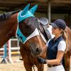 Breathable Horse Fly Mask with UV Mesh view 4