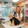 Generic Adjustable Portable Cat Restraint Grooming Bag view 2