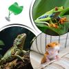 Habitat Suction Cup Terrarium view 4
