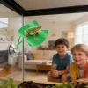 Generic Frog Habitat - Glass Reptile Terrarium view 4