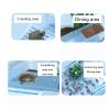 Reptile Feeding Box, Multi-Section Tank, Semi-Transparent Blue, 50 x 35 x 17 cm view 3