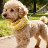 Dog Ear Protectors, 18 x 9.5 cm, Polyester view 3