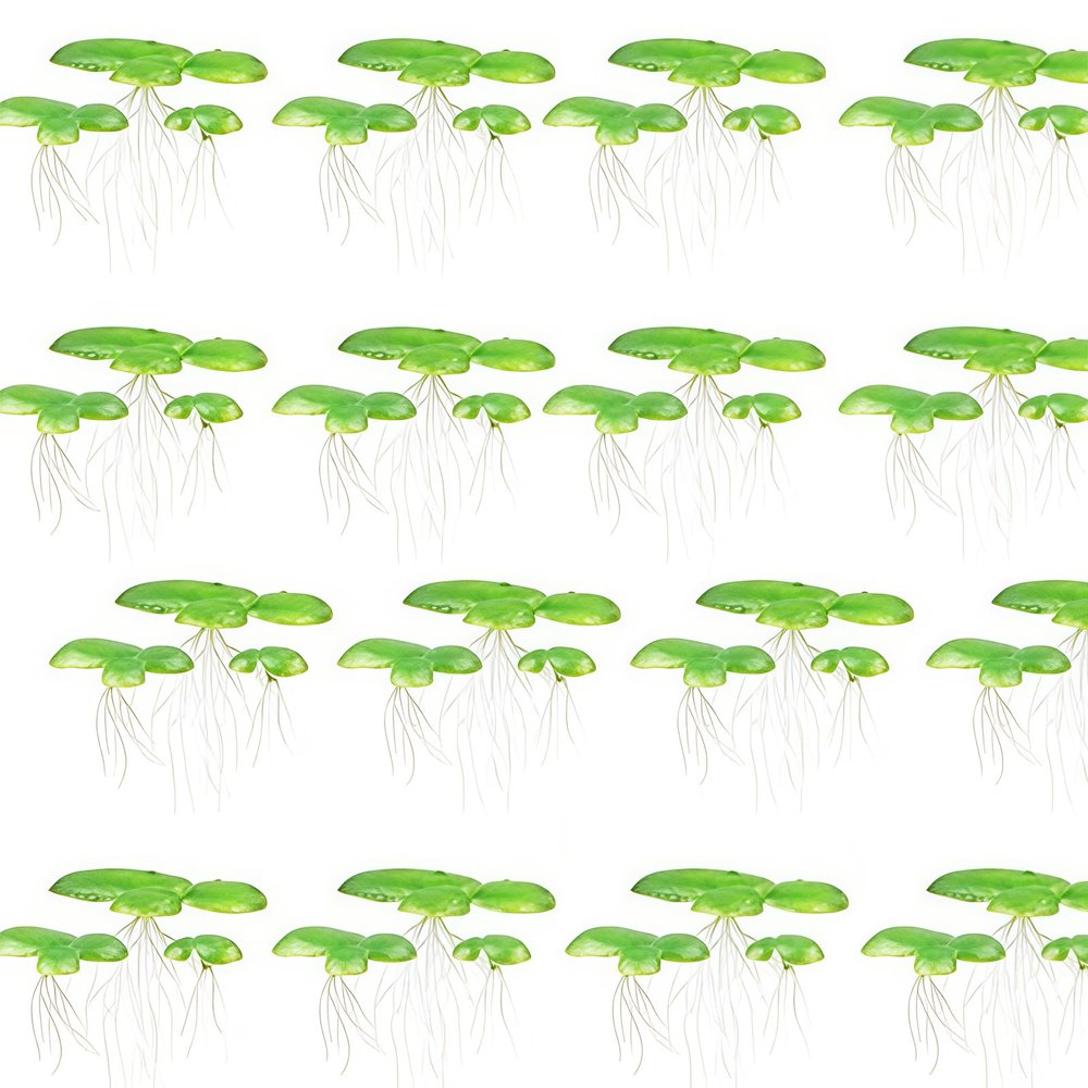 Ruarby 2-Pack Realistic Floating Duckweed for Aquariums