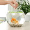 Ruarby 2-Pack Realistic Floating Duckweed for Aquariums view 2