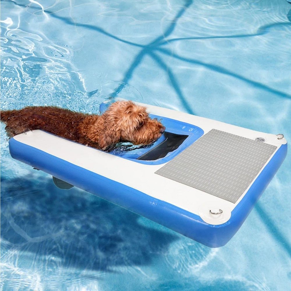 Inflatable Dog Pool with Non-Slip Ramp and Ladder, Supports up to 90 kg