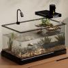 Turtle Basking Platform with Ramp, Over-Tank Topper view 2