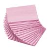 Generic Absorbent Puppy Pads 13 Inch view 1