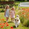 Small Dog Straw Hat view 2