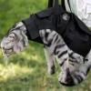Cat Restraint Bag, Durable Washable Carrier, Versatile Grooming Tool with Safety Zipper view 2