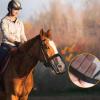 Introti Horse Nose Net, Fine Mesh Summer Stretch Fly Protection view 4