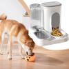 Automatic Pet Feeder, Large-Capacity 2-in-1 Food and Water Dispenser, Gray view 3